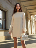 Feather Sleeve Dress